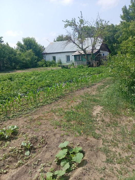 Продам  2 дома каждый