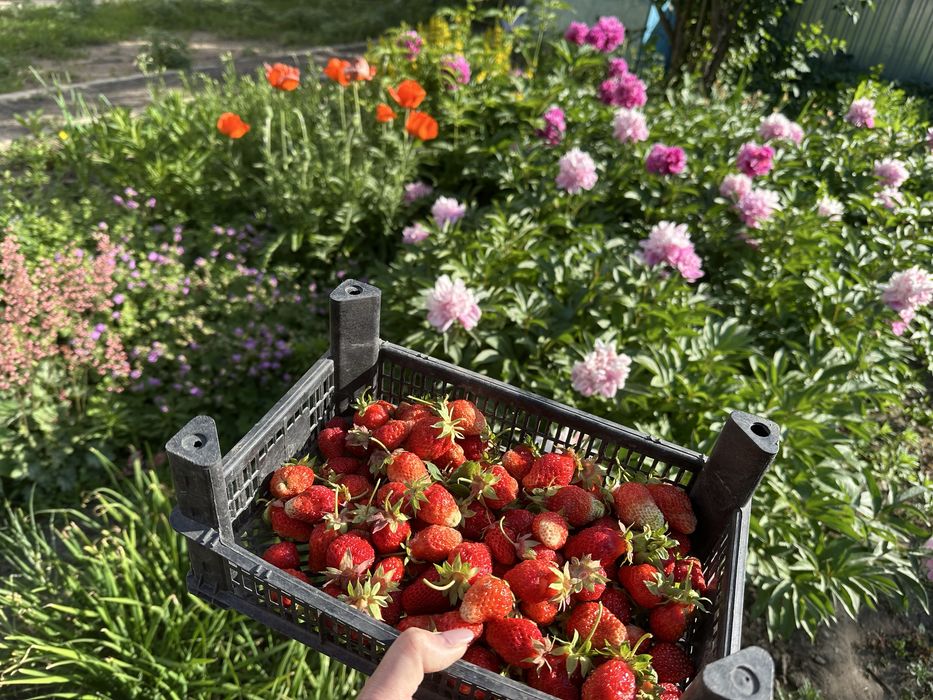 Продам дом 180 кв.м.