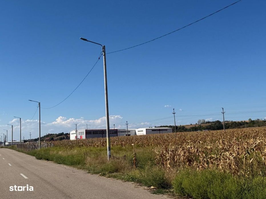 Teren intravilan 5000  mp , deschidere 80 ml ,RACARI ,com BRADESTI
