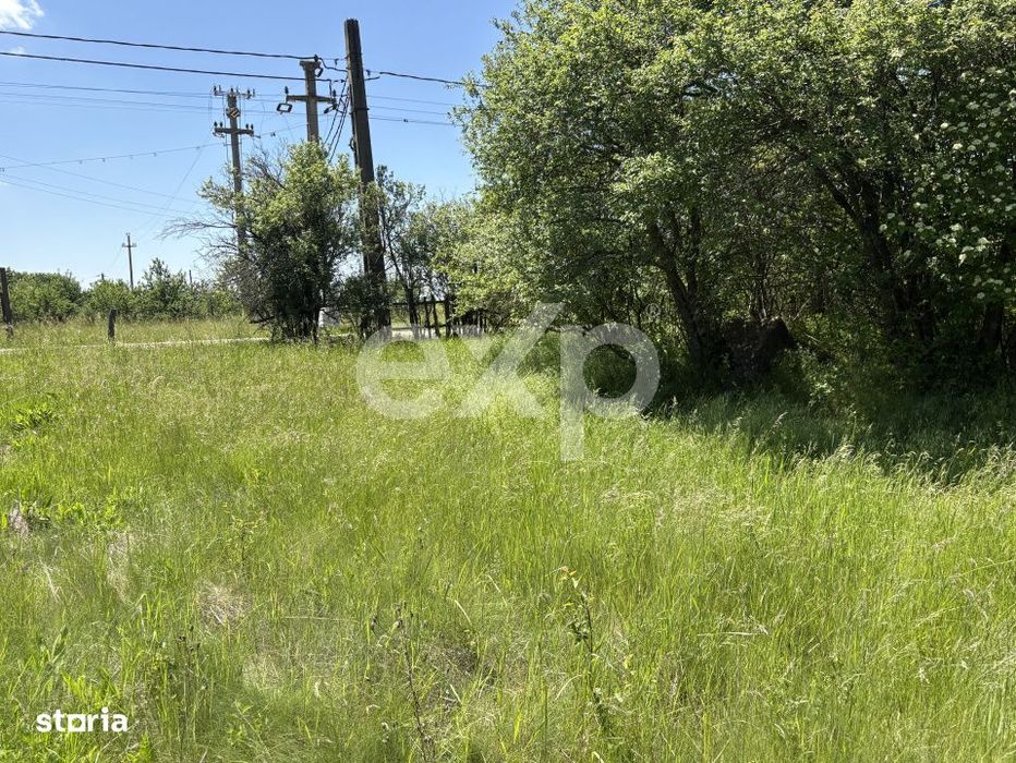 Teren 2.200 mp langa padure, la 11 km de Pitesti – ideal pentru casa
