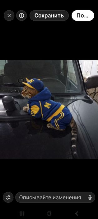 Bengal mushuk viyaskaga