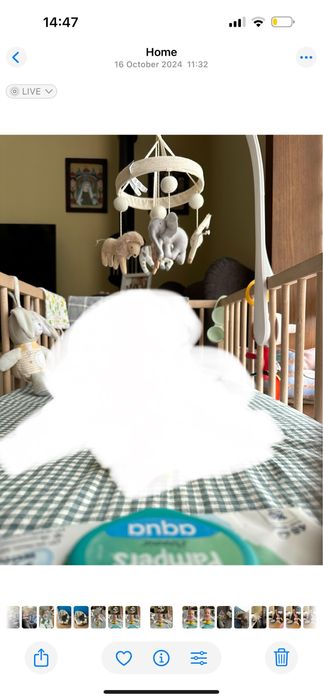 Carusel muzical pentru pătuț Mamas & Papas - Born to be wild