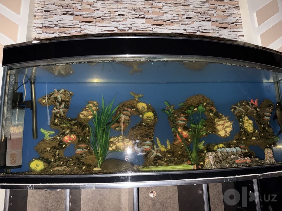 600 litrlik AKVARIUM