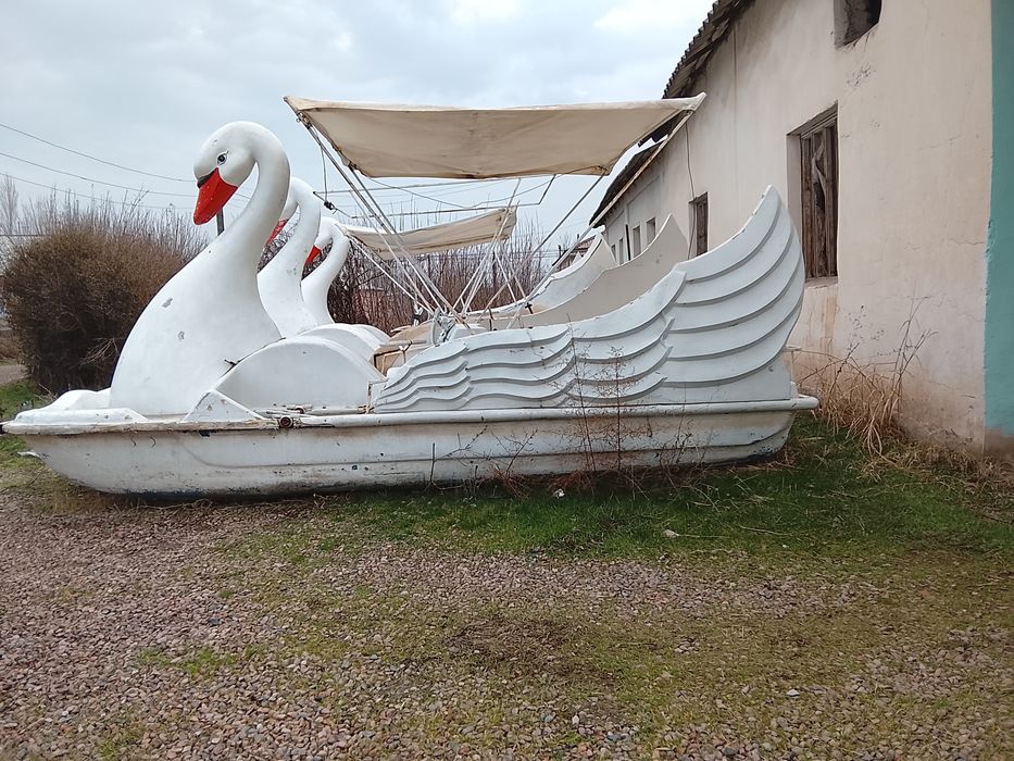 Катамаран соккани боладиган транспорт