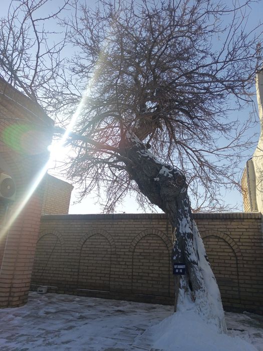 Отливка свинцом .