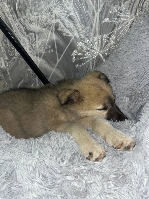 Мальчишка ищет семью!