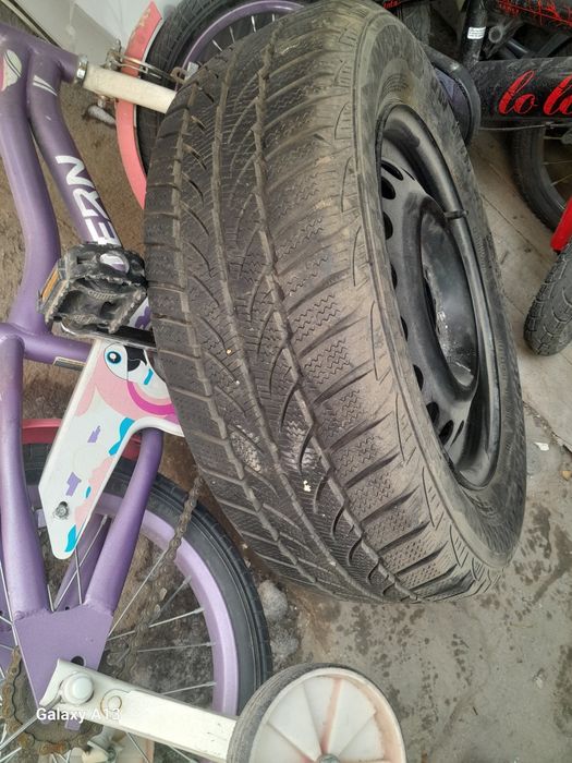 Зимни ризин с титанкои