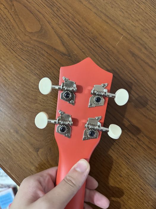 Укулеле Terris JUS-20 Mushroom Multicolor