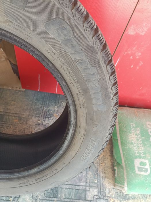 Зимние шины Кордиант
