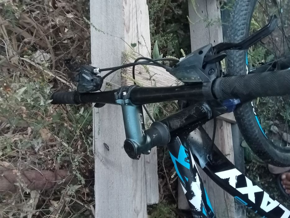 Обмен на щеньку спаниель чистый