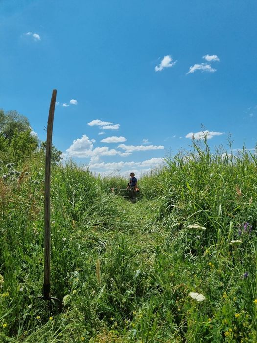 Продаётся сено Тюк 6000