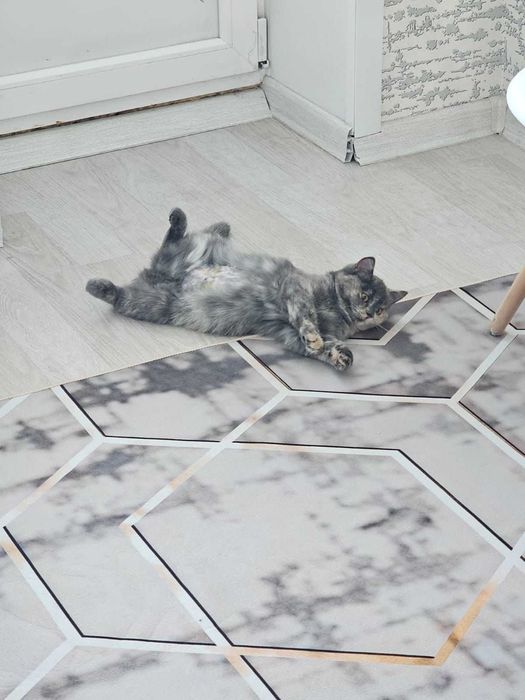 Обаятельная и привлекательная ласкуша