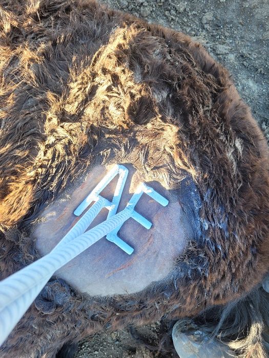 Таңба Азот Табро