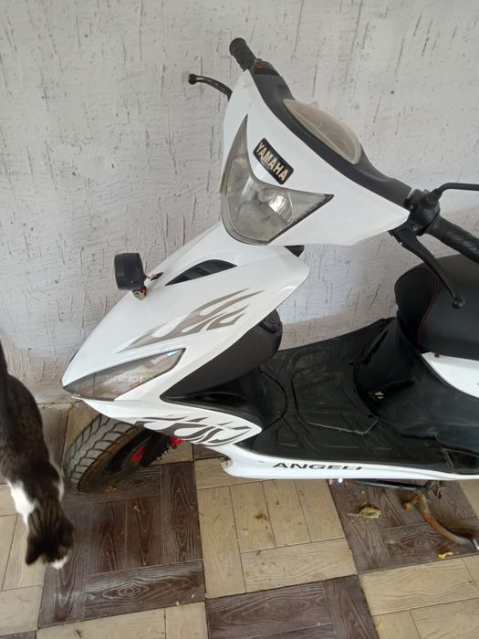 Продам скутер Ангел на ходу