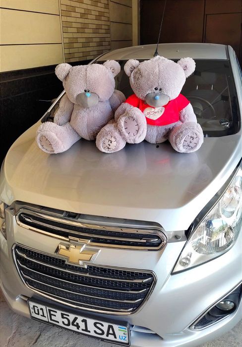 Teddi , Teddiy Teddiyla, Teddy