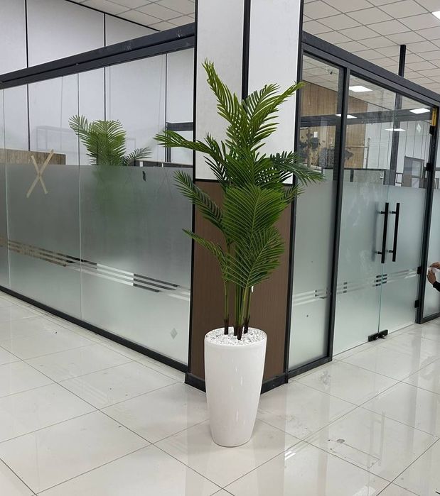 Ойнага пленка Матовая пленка туманка Matovaya plyonka plenka tumanka п