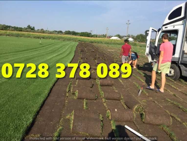 Rulouri de gazon plus Montaj !