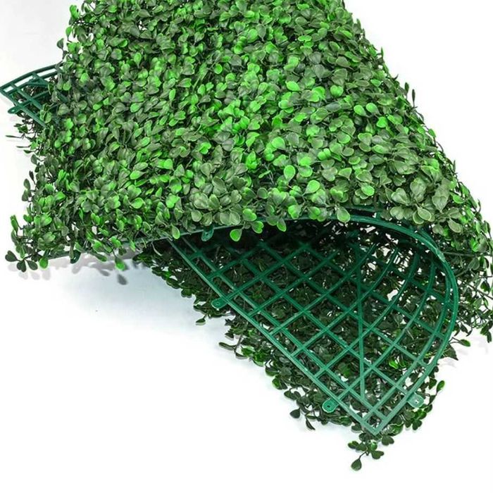 Искусственные фитостены — декоративное озеленение без хлопот