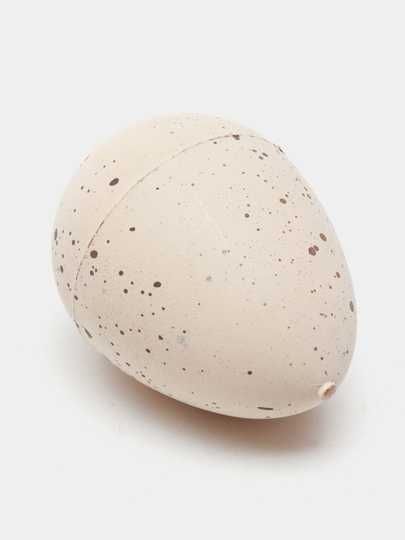 Инкубационные яйца динозавра для детей, 3+, образовательное