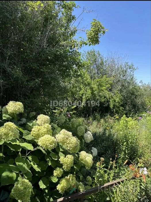 Продам дачный участок с домиком