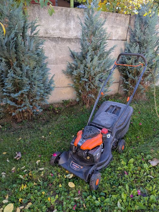 Masina de tuns,  termic OHV