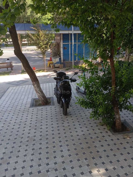 Продается Drongo 2025