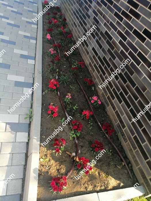 Доставка на ХУМУС (почва, земя) София