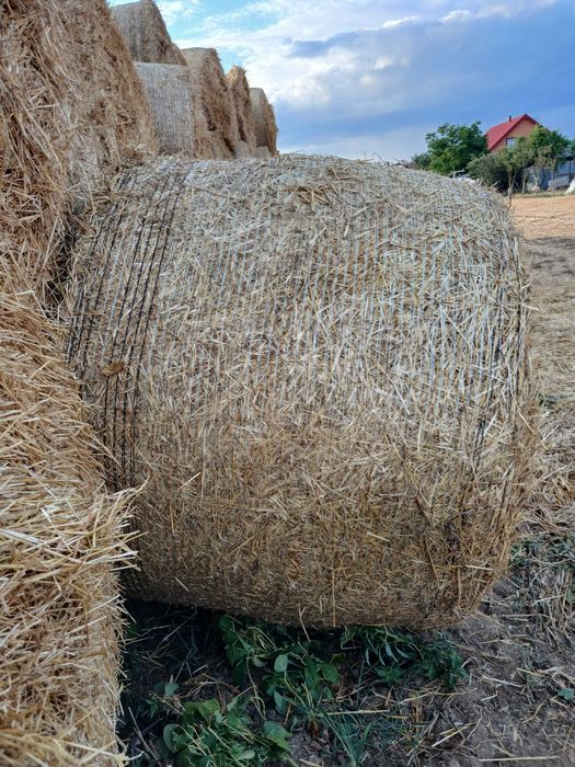 Baloti de vanzare 60 lei
