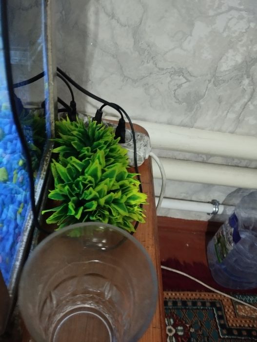 Sotiladi manzil Toshkent kelshamiz narxi