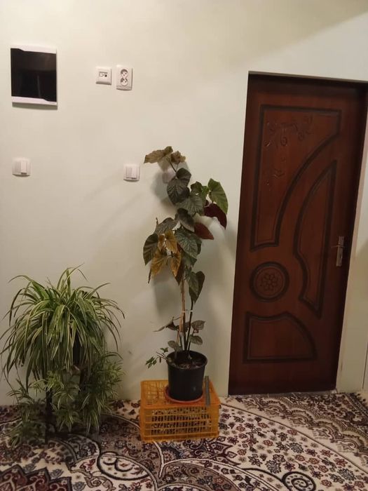 Уй сотилад yer uy sotiladi