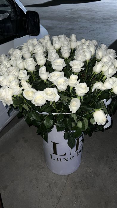 101 ақ роза гүл!