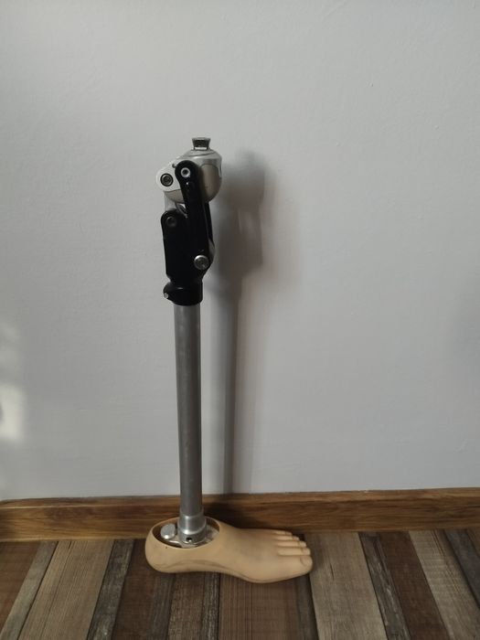 Genuchi ossur proteza