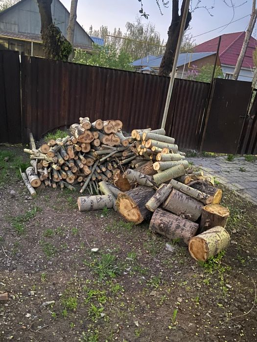 Дрова в мкр. Шанырак