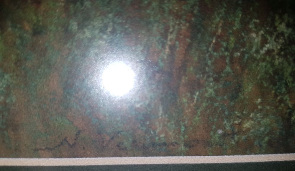 Tablou pastel pe hartie semnat Nicolae Vermont.