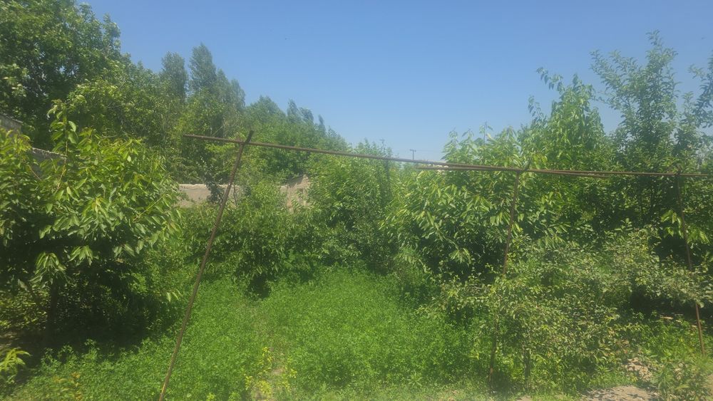 Уй сотилади  срочно