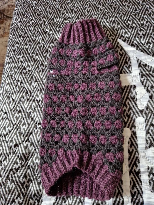 Одежда для животных