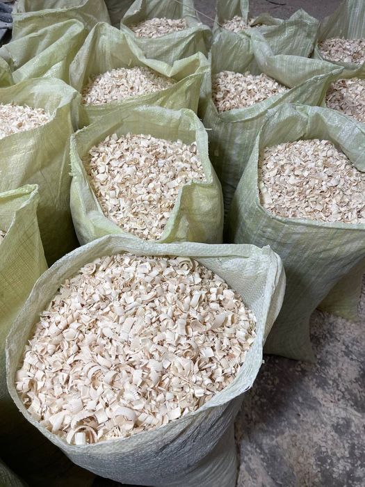 Quruq va yirik apilka