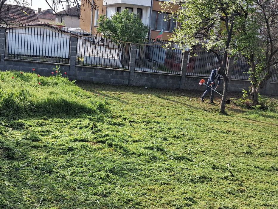 Предлагам: • Косене на дворове • Почистване на мазета
