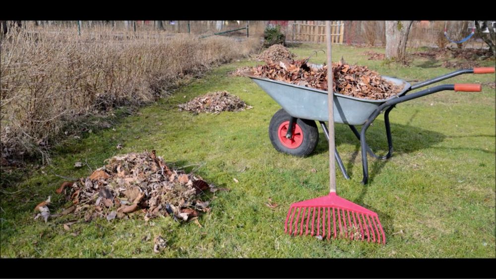 Уборка дачных участков от листвы, сухостоя.