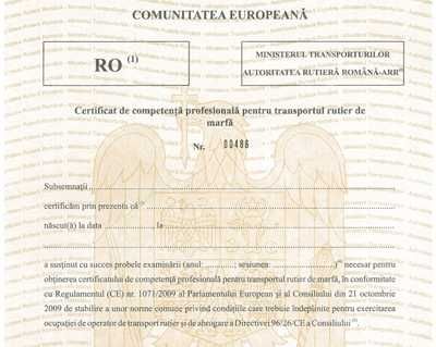 Manager Transport Persoane, Marfa, Alternativ/taxi/Persoană Desemnată