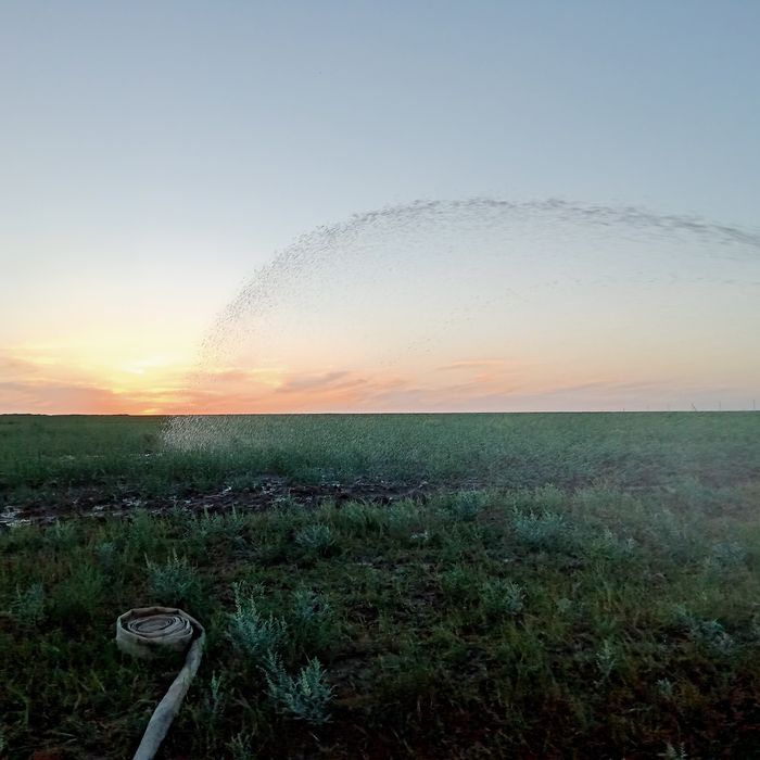 Даждивалка жақсы