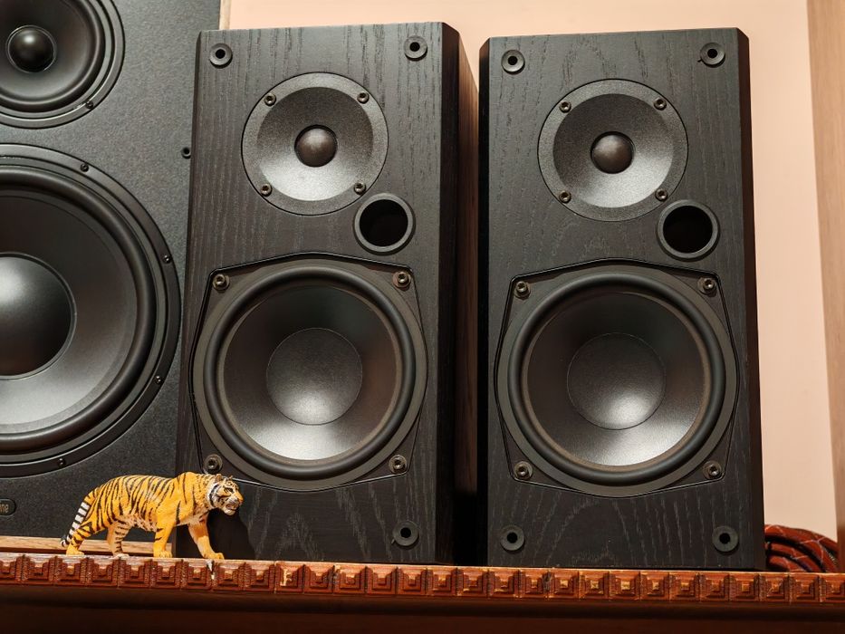 ASW Inkongnito ISM-2. Boxe superbe, rare. Sunet audiofil. Preț fix !