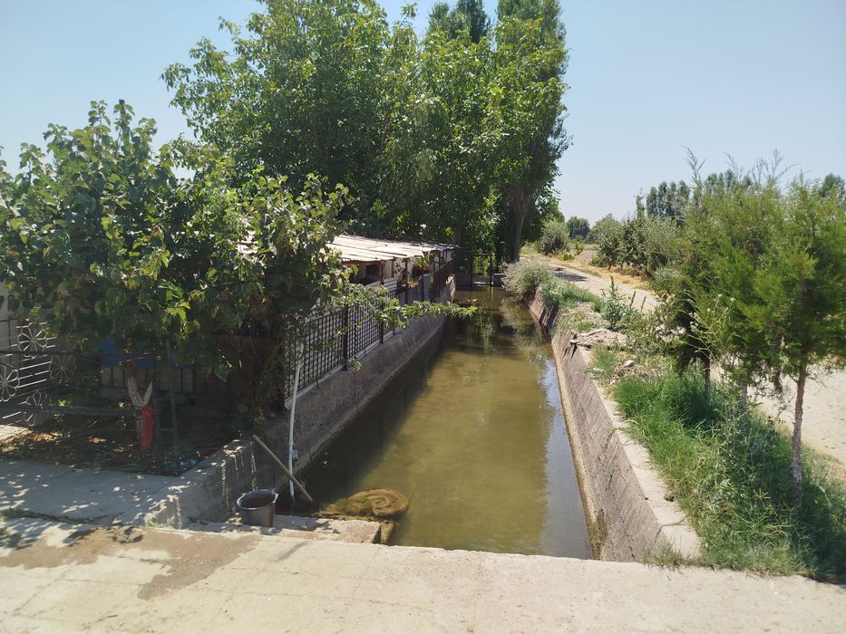 Ferma sotiladi 31 sotik maydonga qurilgan