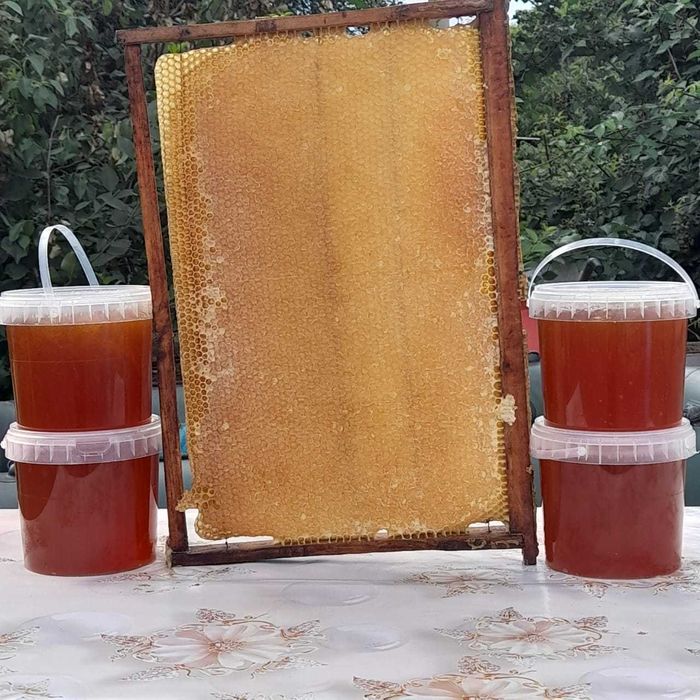 Продам пергу пчелинную