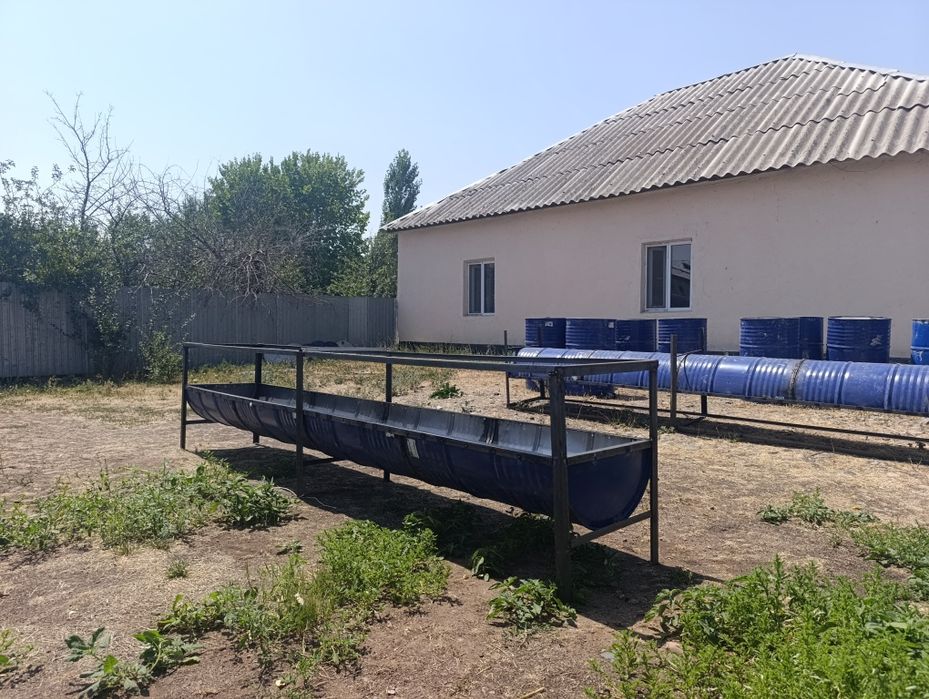 Астау бордақылау қойға