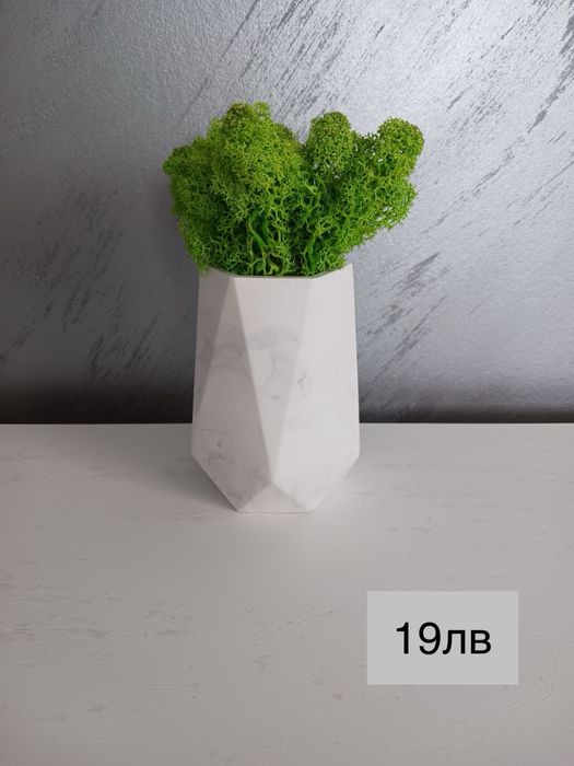 Декоративни кашпи с естествен скандинавски мъх