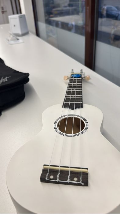 укулеле flight