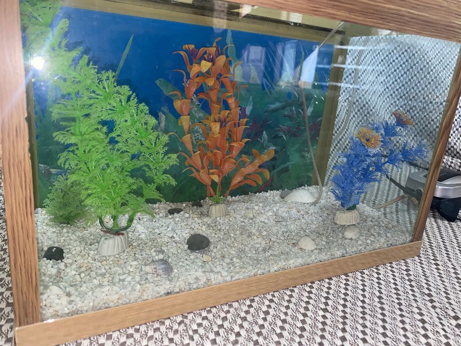 TAYYOR akvarium sotiladi.