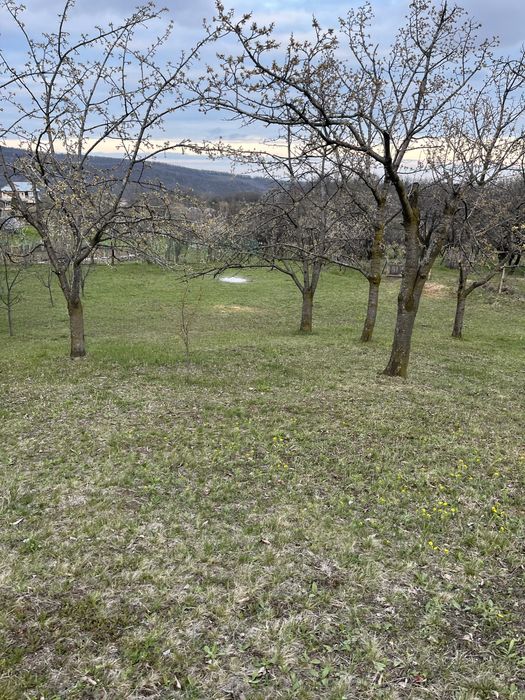 Teren ideal penteu cabana