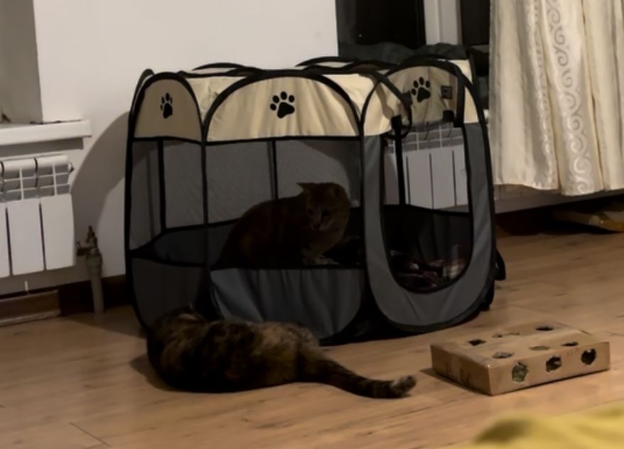 манеж для животного с крышей